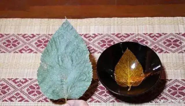 小伙带破碗去鉴宝,引来一阵嘲笑!专家倒入清水之后,大伙都不敢笑了!