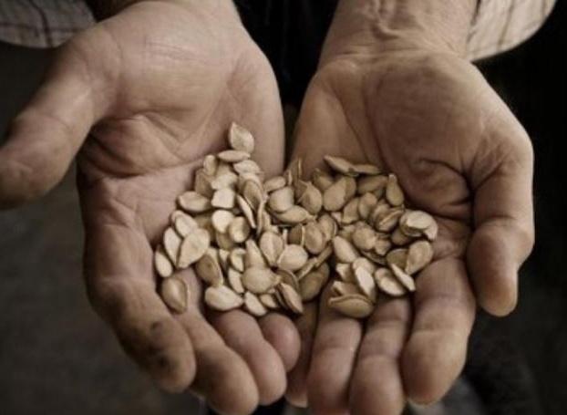 医生|男人坚持吃“3物”,可能助长男性“尊严”,可惜大多人不喜欢吃