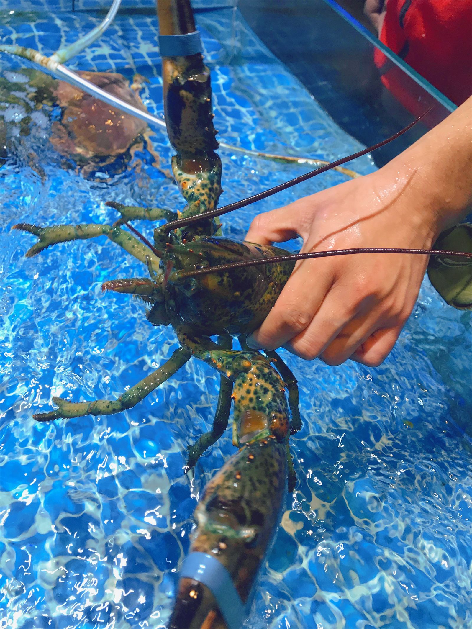 露营|日照游记,秋天的第一场露营可以安排了