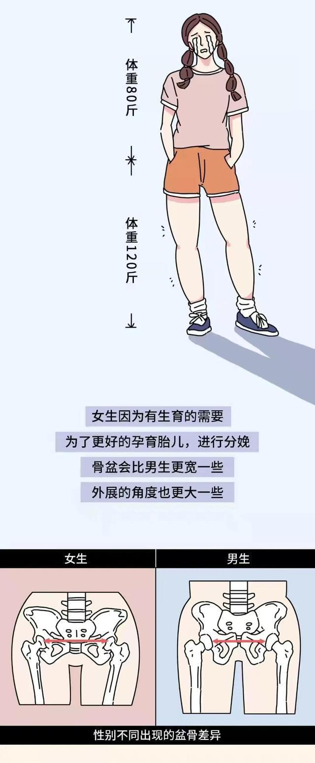 漫画|腿粗的女生，请不要自卑！（漫画）这些好处，“小细腿”羡慕不来