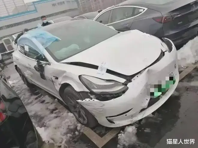 潮州特斯拉车主一旦输了,就要面临百万赔偿和3年以上牢狱