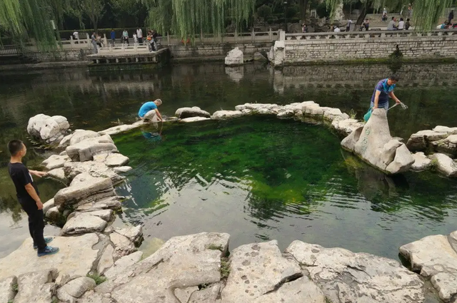 济南|济南有一小众公园火了，风景不输大明湖，门票免费却鲜有人知