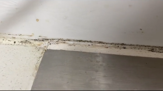 卫生间装修必须提前购买的8件东西。不要问为什么！