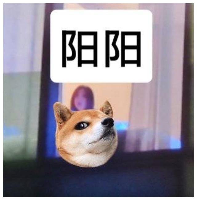 狗仔曝明星酒店约会，三里屯酒店房间被拍，不拉窗帘现场照片公开