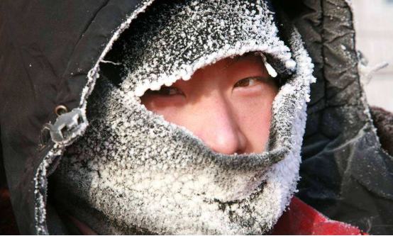 零下44.8℃极寒天气,家畜都会被冻死,呼伦贝尔的野猪会遭灾吗?