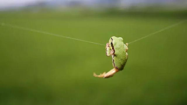 “这辈子拍不出第二张”的照片