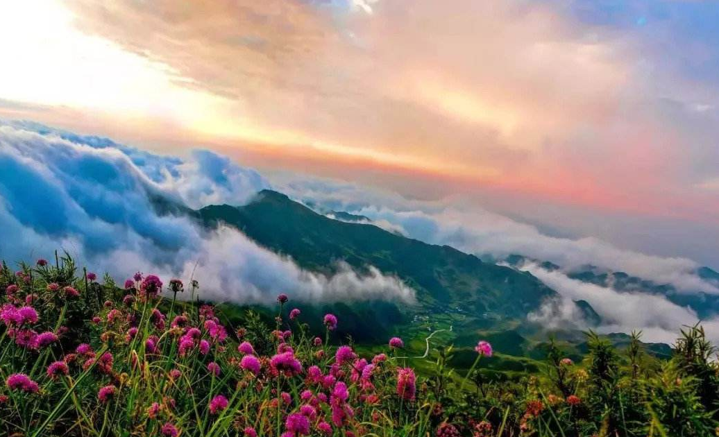 呼中|毕节贵州屋脊，体验世界最大野生韭菜花的壮美景色