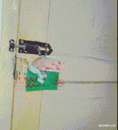 官宣|华晨宇“消失”，《王牌》收视率?本季新高：这一次我支持吴彤