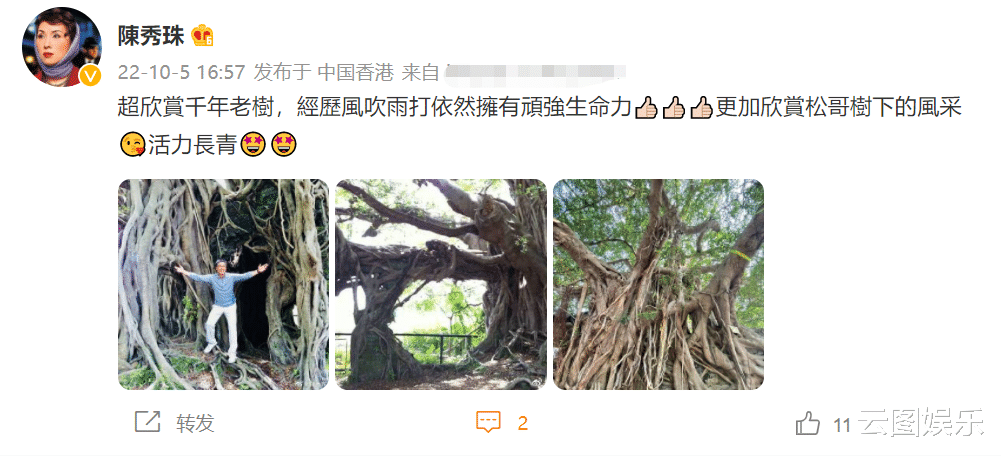 刘松仁|刘松仁摔伤后罕见出游!不用拄拐杖精神好,站上千年古树兴奋拍照