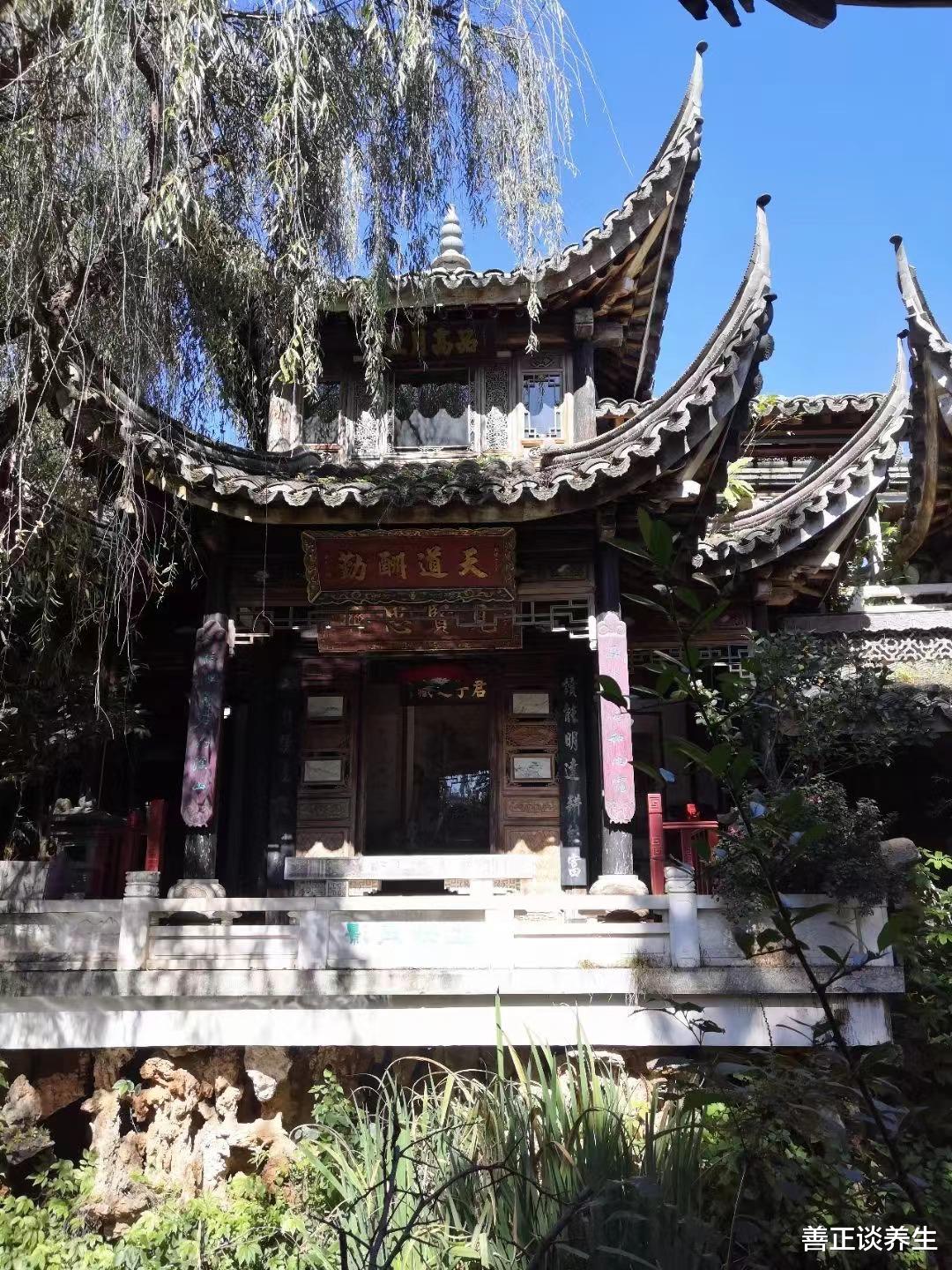 浙江大学|中药的五味,你知道多少?