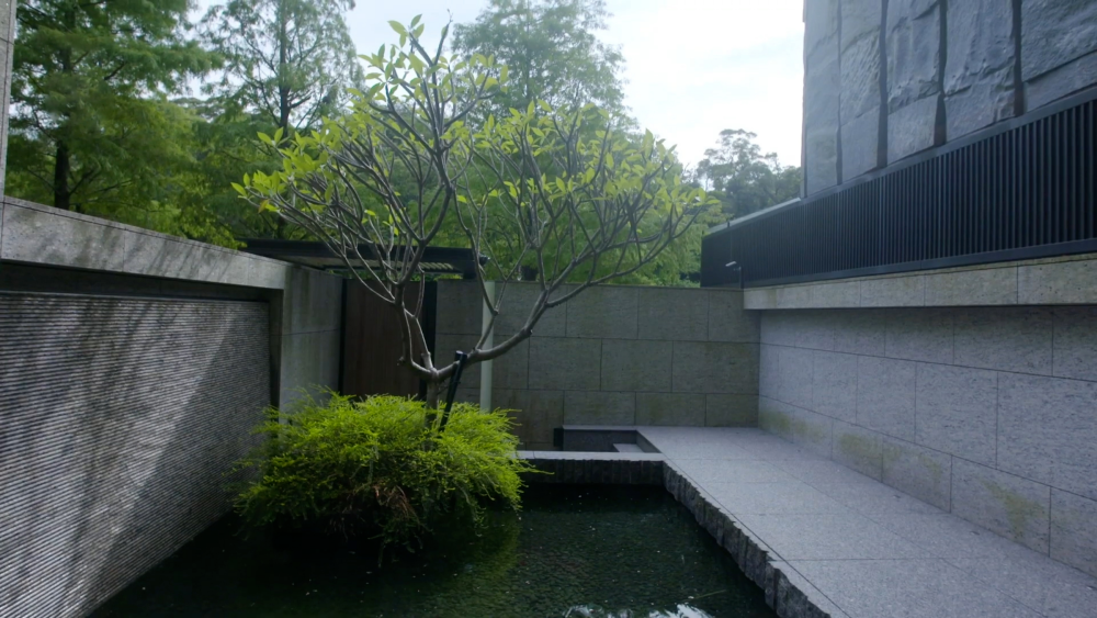 萧敬腾|萧敬腾定居成都后,单身豪宅被扒!一人住8层:你有多强大,就有多自由