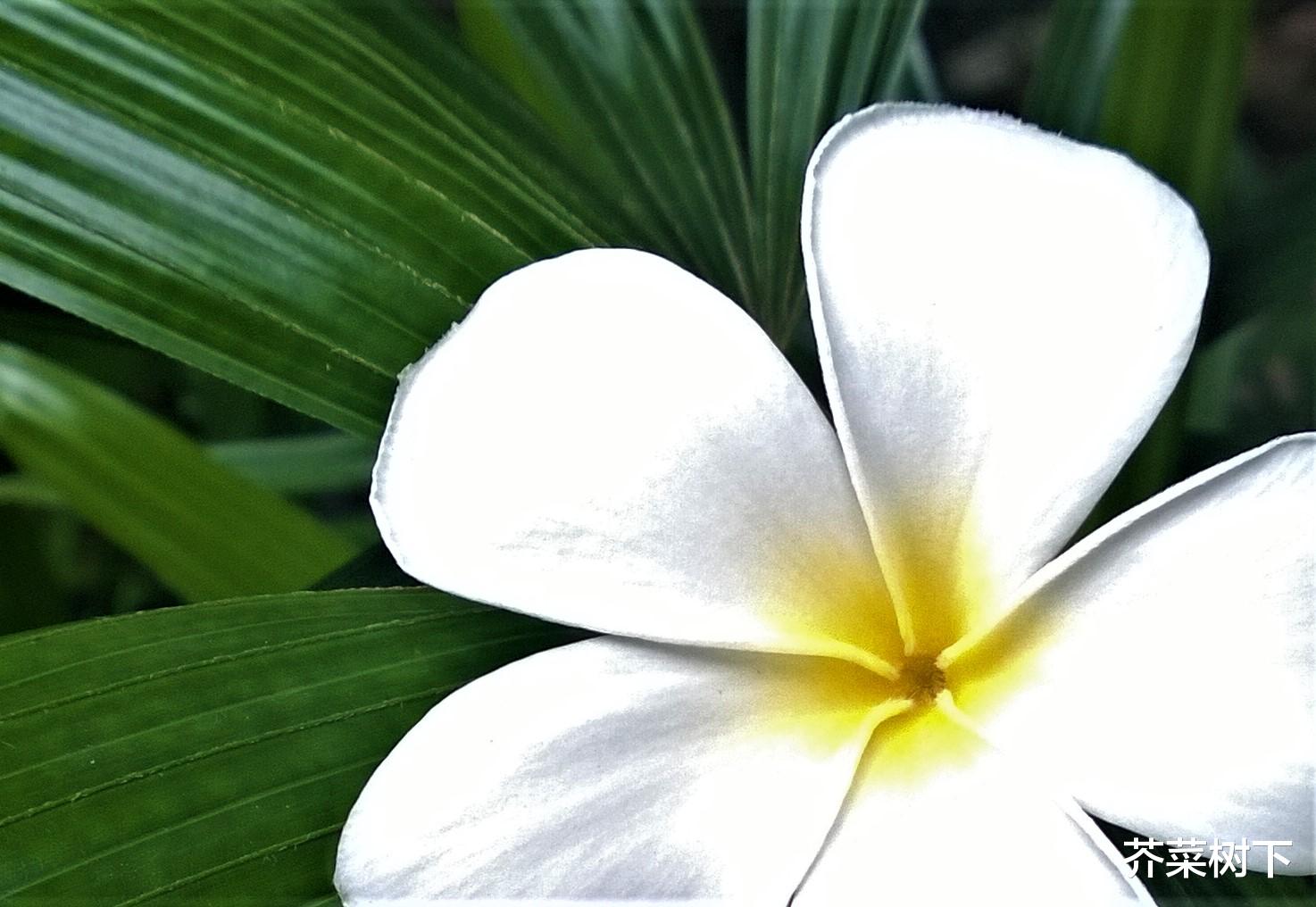 |职场坑自己之——天生我材