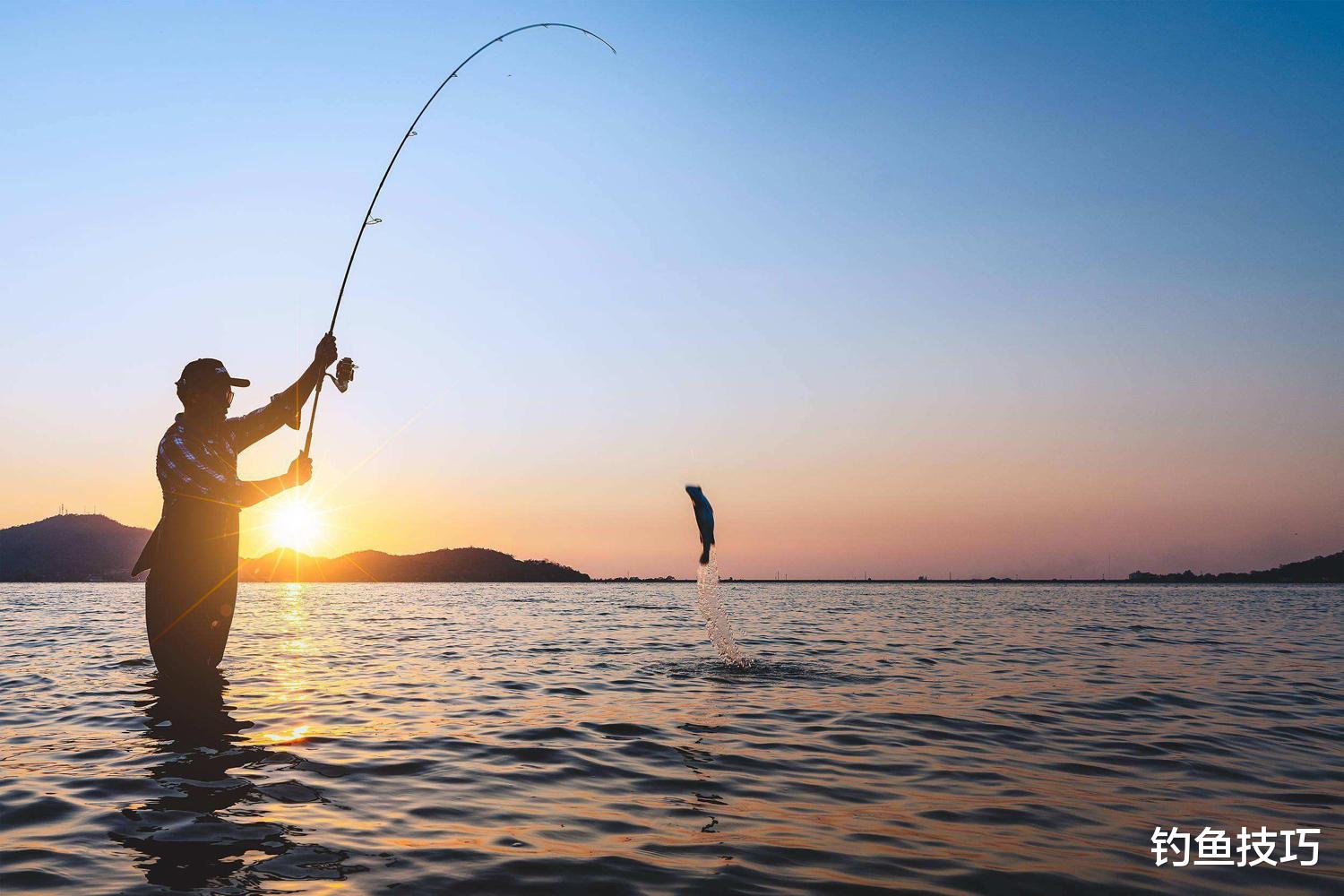 |夏季夜钓的4个技巧，想要在夜钓时钓很多鱼，一定要掌握的技巧