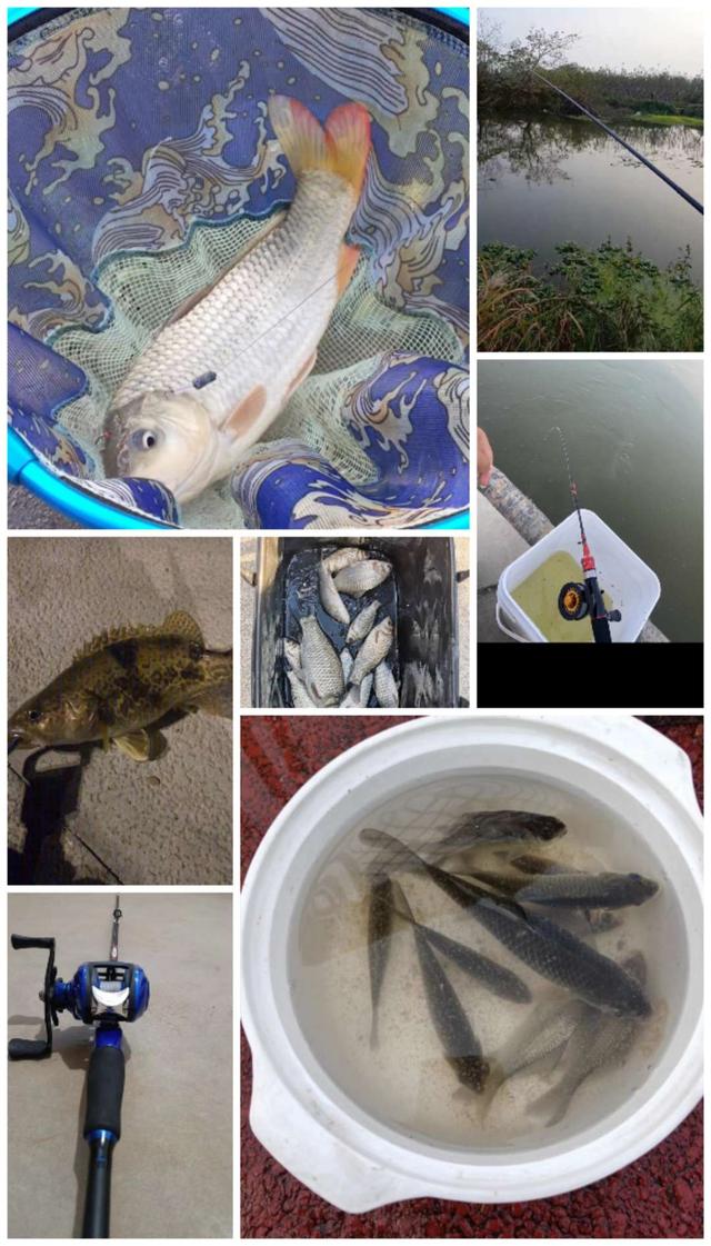 |浅谈逗钓都适用在哪些钓法之中