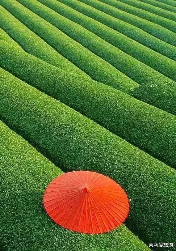 美丽|62幅奇观美景，各具特色，饱眼福了
