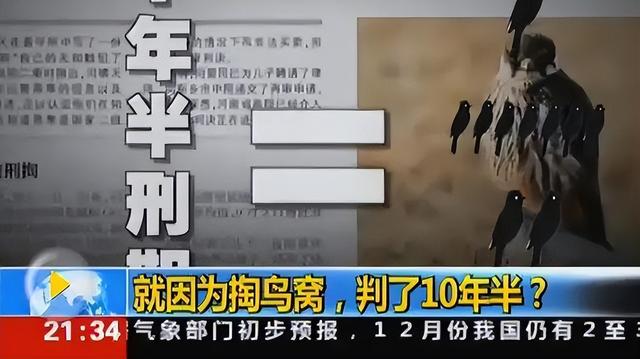 14年河南学生抓16只鸟被判10年半,两年后其父自首:我有行贿行为