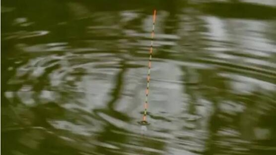 |发现黑漂,提竿没鱼,这是怎么回事?