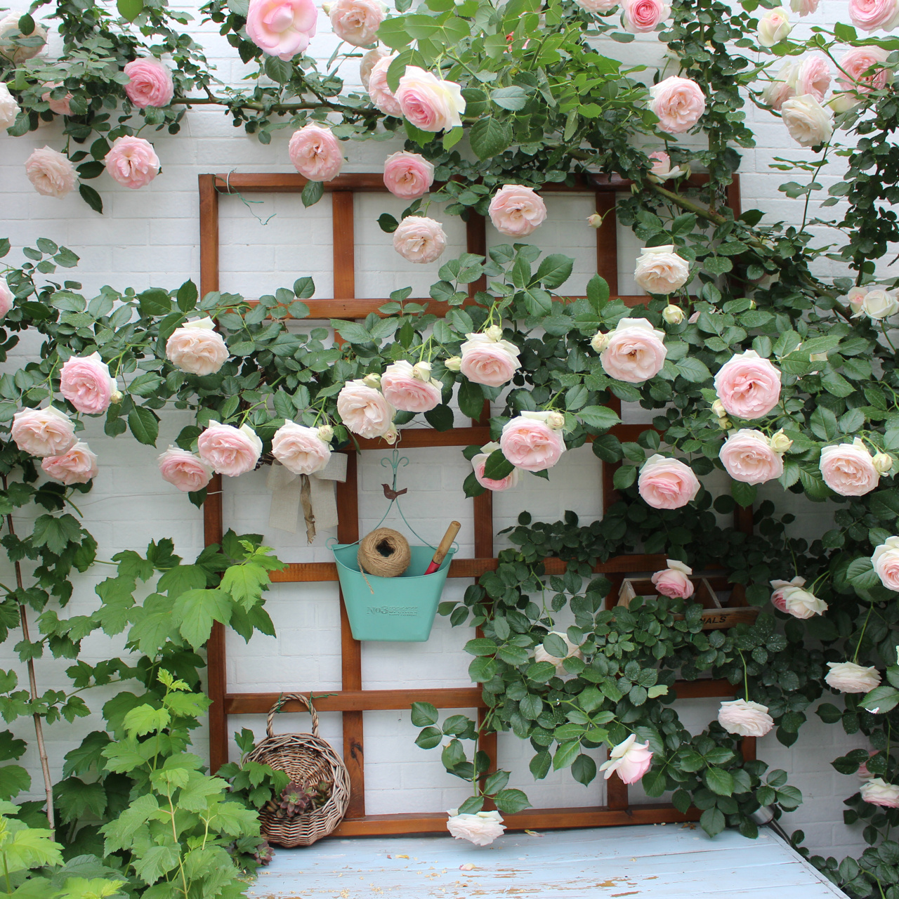 35㎡楼顶露台，亲手打造空中小花园，这才是顶楼的正确打开方式