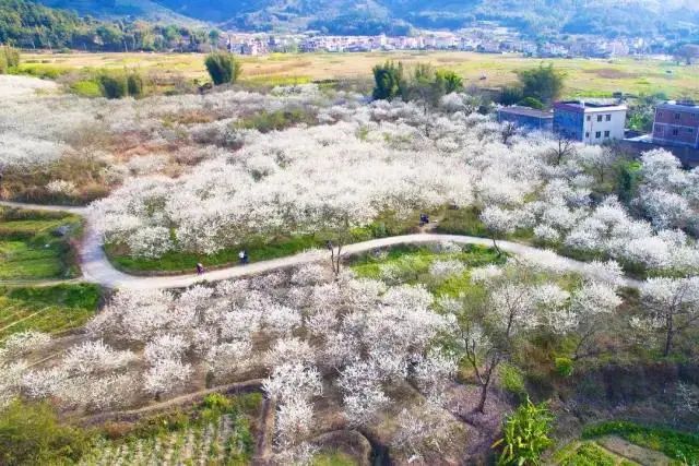 泸沽湖|我在广州发现了一个媲美泸沽湖的仙景地方，快悄悄地来打卡吧