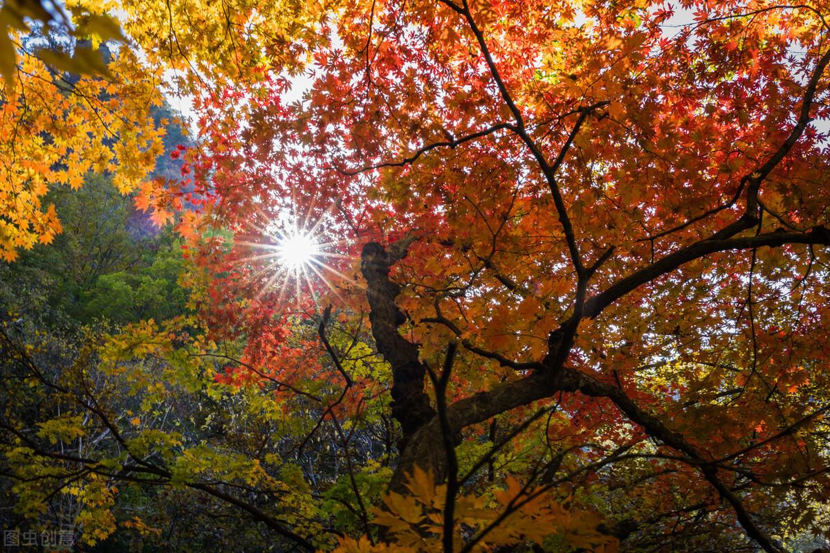 龙门峡|郭进拴|神游关门山