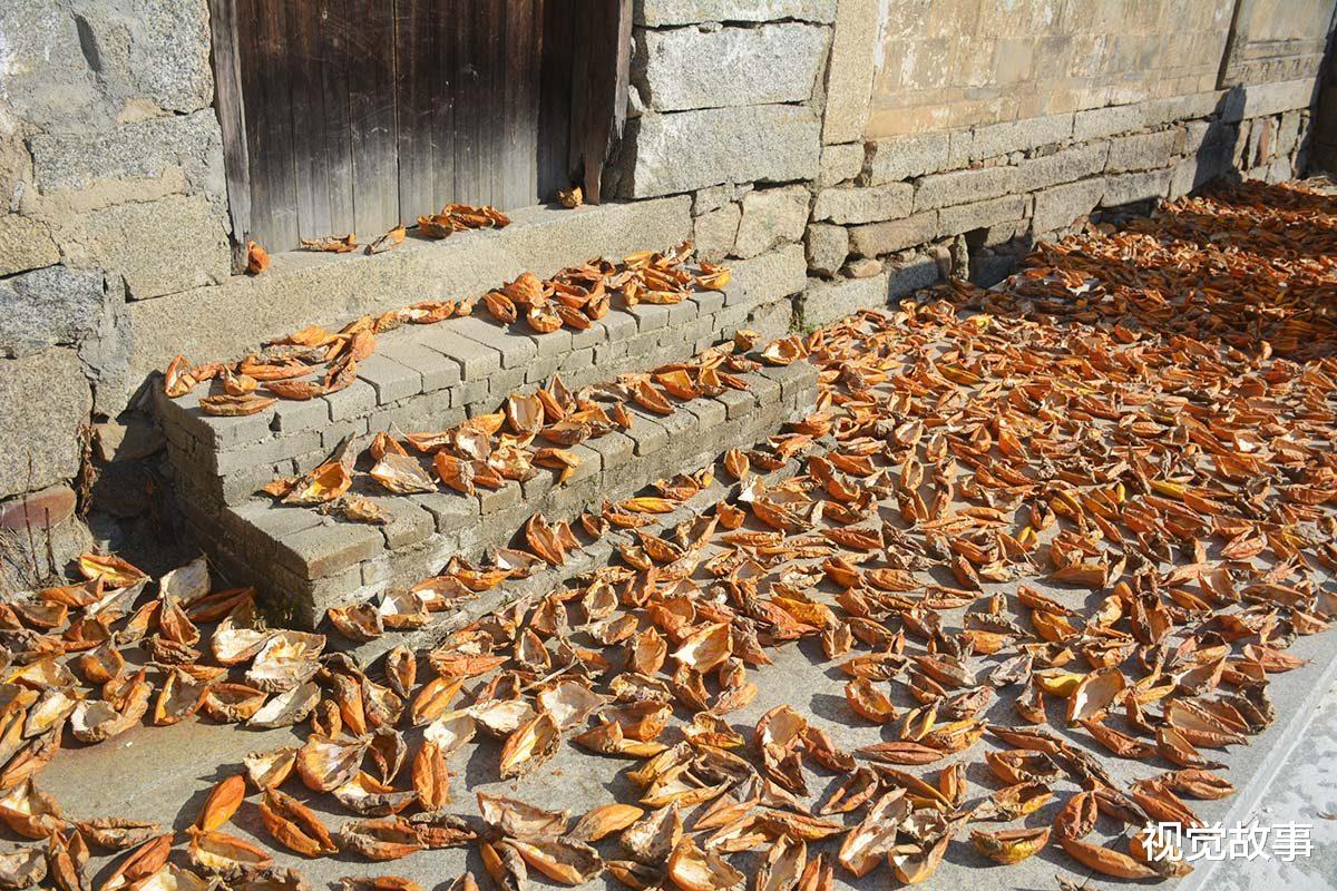 山村大爷花4000元建瓦房,40年后年年有收入,看咋回事