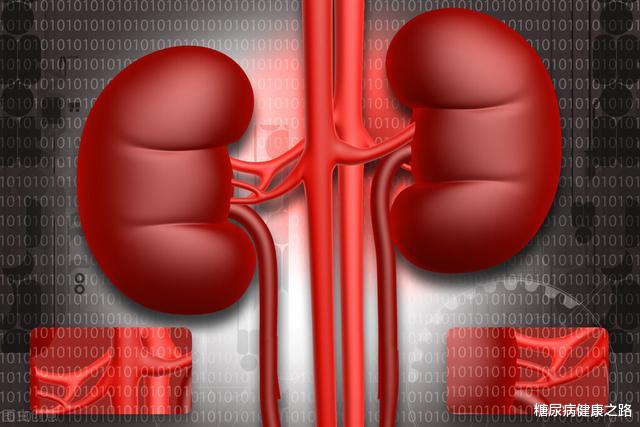 并发症|糖尿病人怎么健康长寿?减少心、肾并发症是关键,做好6点