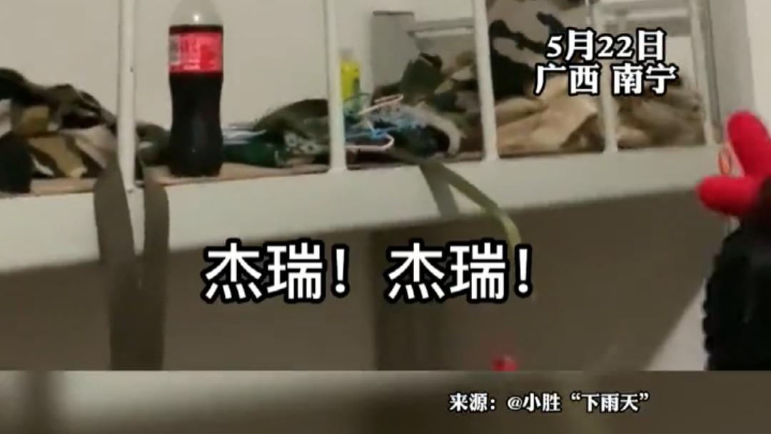 南宁一宿舍惨遭杰瑞入侵，“猛”男吓出了海豚音