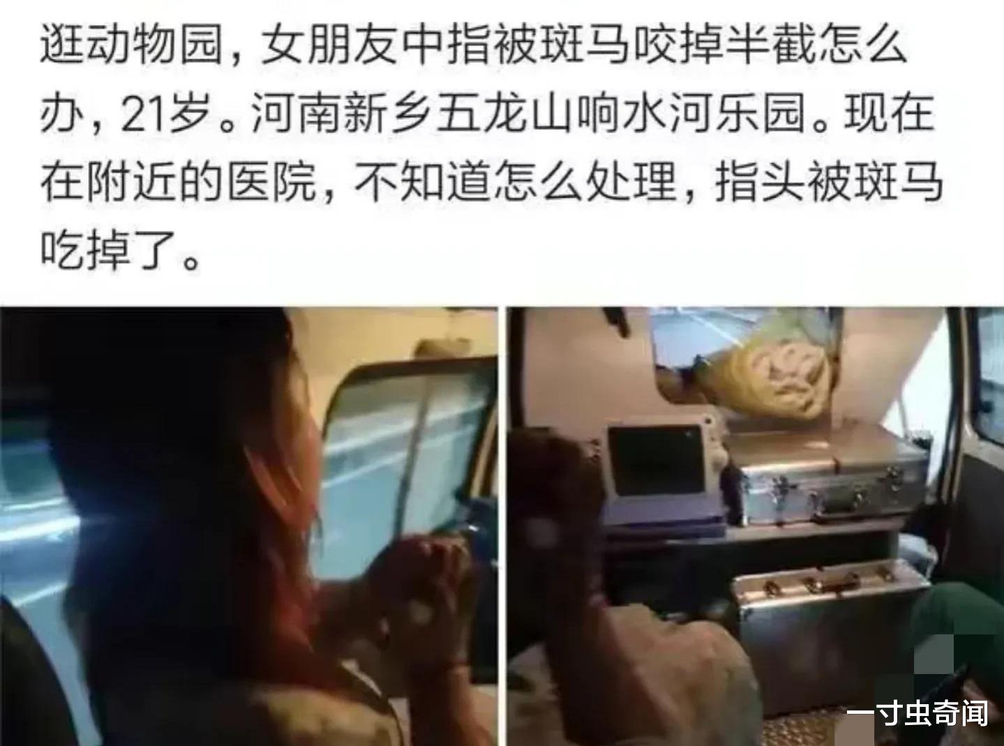 斑马为啥是素食动物中的恶棍?斑马遍布非洲,为何非洲人不骑斑马