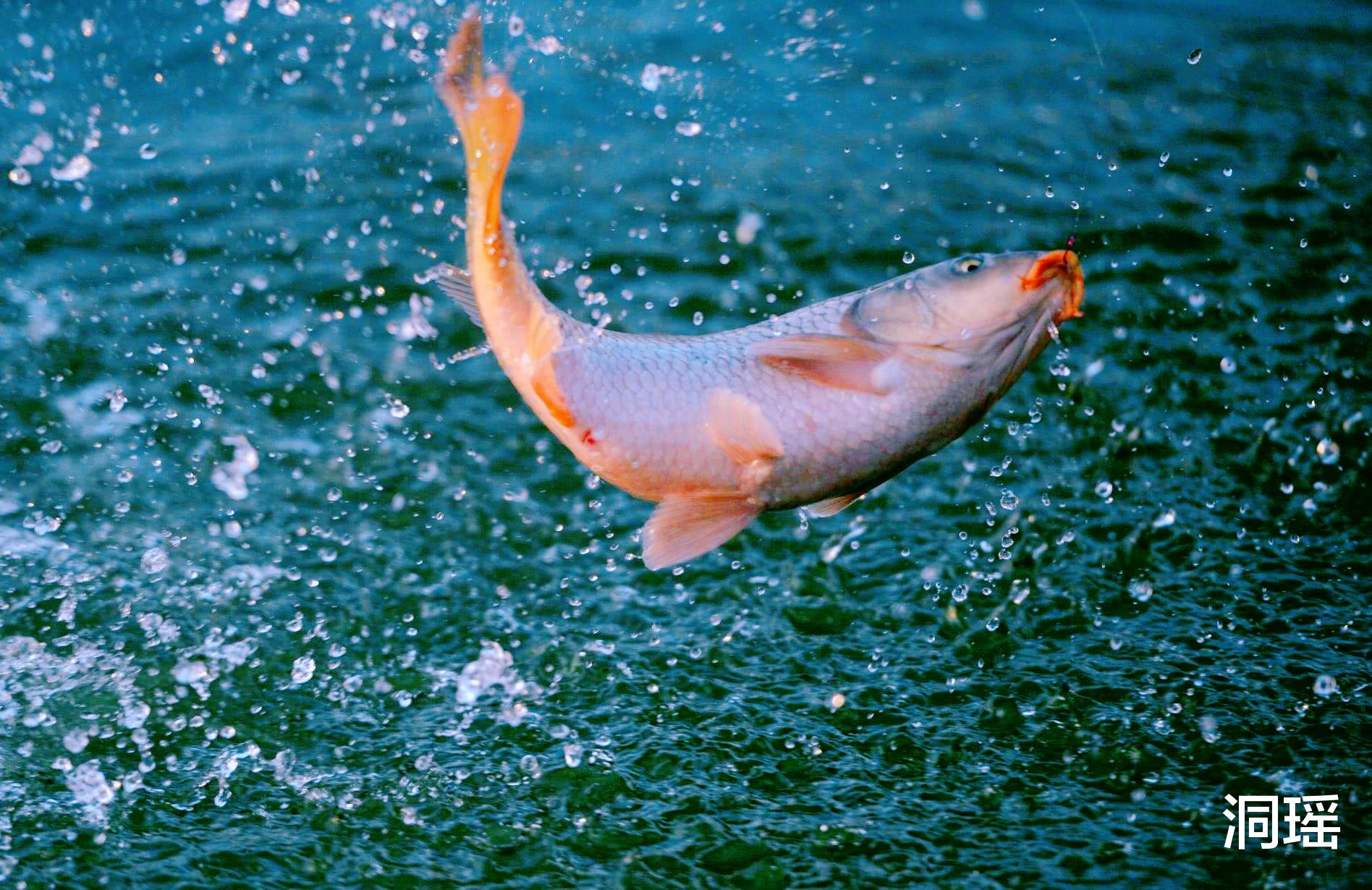 漓江|我国一个内陆湖，鱼量有8亿公斤，当地人却很少捕捞和吃