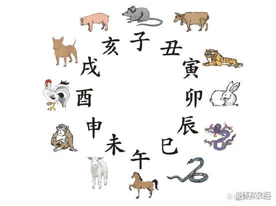 明年癸卯兔年,也被称为黑兔年,有何说法?好不好?一起了解下