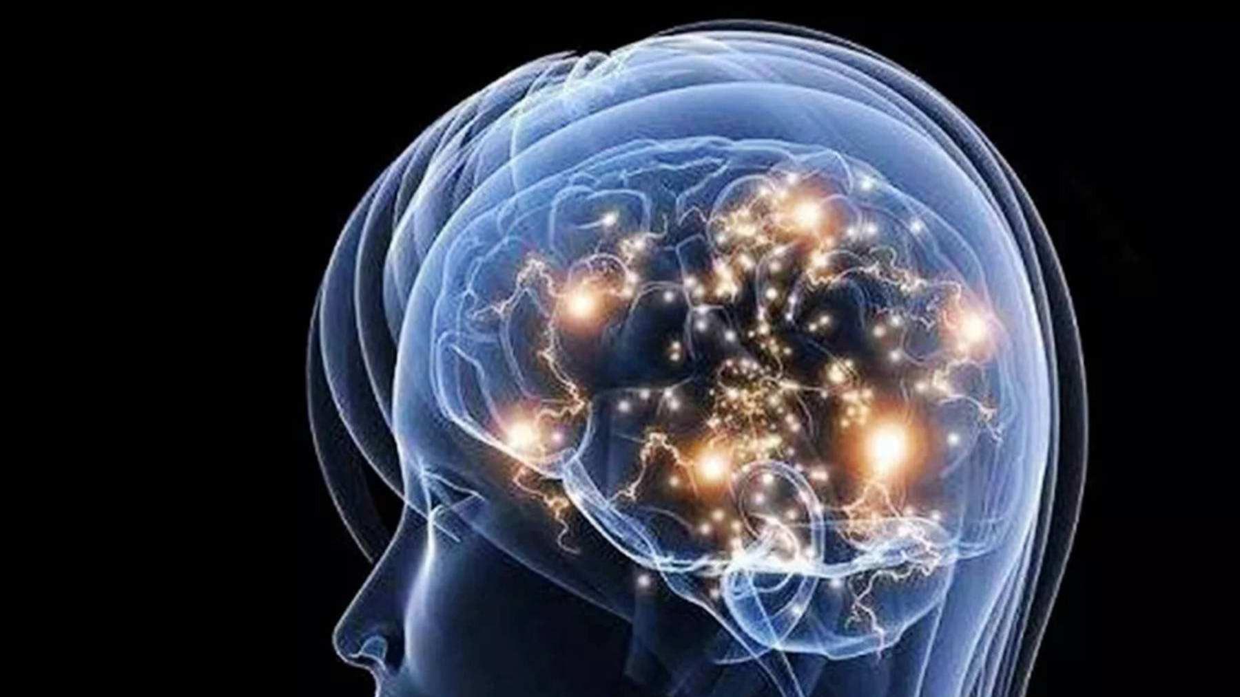 人是如何把思想转化成语言的？下面的理论刷新你的三观