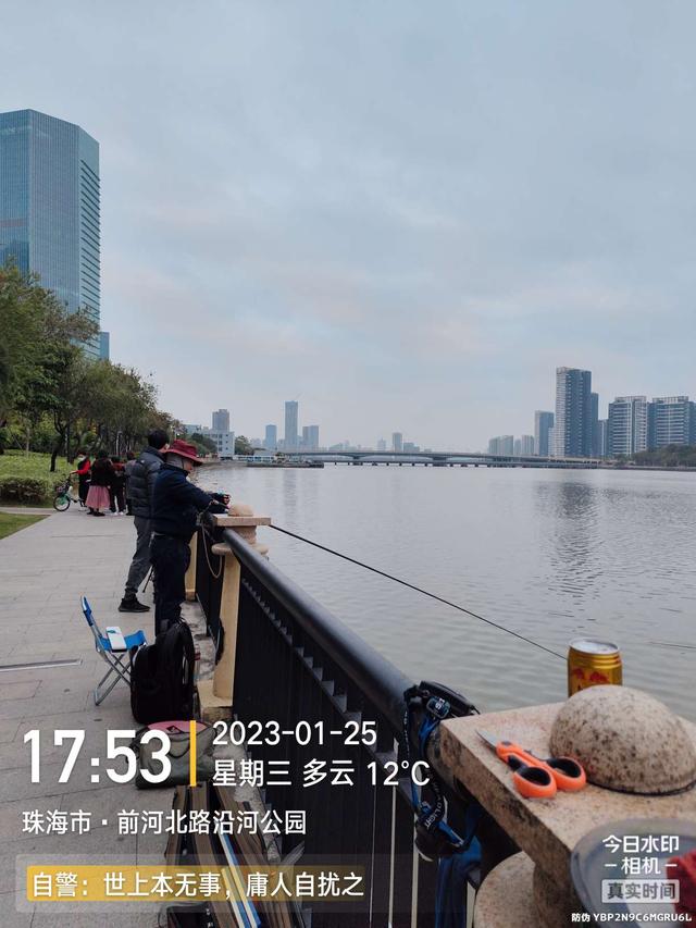 鳊鱼|小鱼群里的巨物，钓友这次超威武