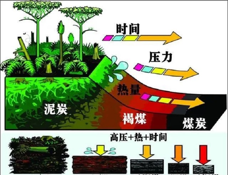 一夫一妻制使得人类进化停止了？研究：其实正在加速