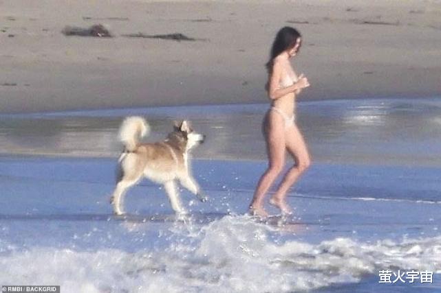 刘畊宏|47岁小李子海滩拥吻24岁女友，相恋快五年了，模特穿薄纱裙很曼妙