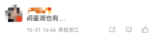 警惕!杭州一地大量出现!网友:我也见过…