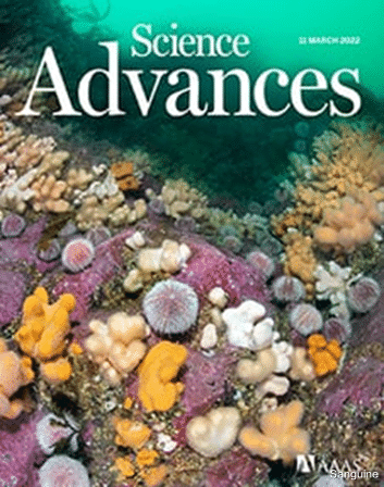 传感器|MXenes 将水凝胶传感器的性能提升到新的极限