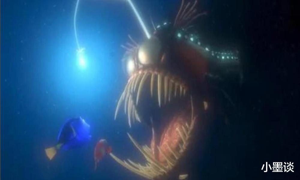 这个绘本带你去探索海洋生物的奥妙