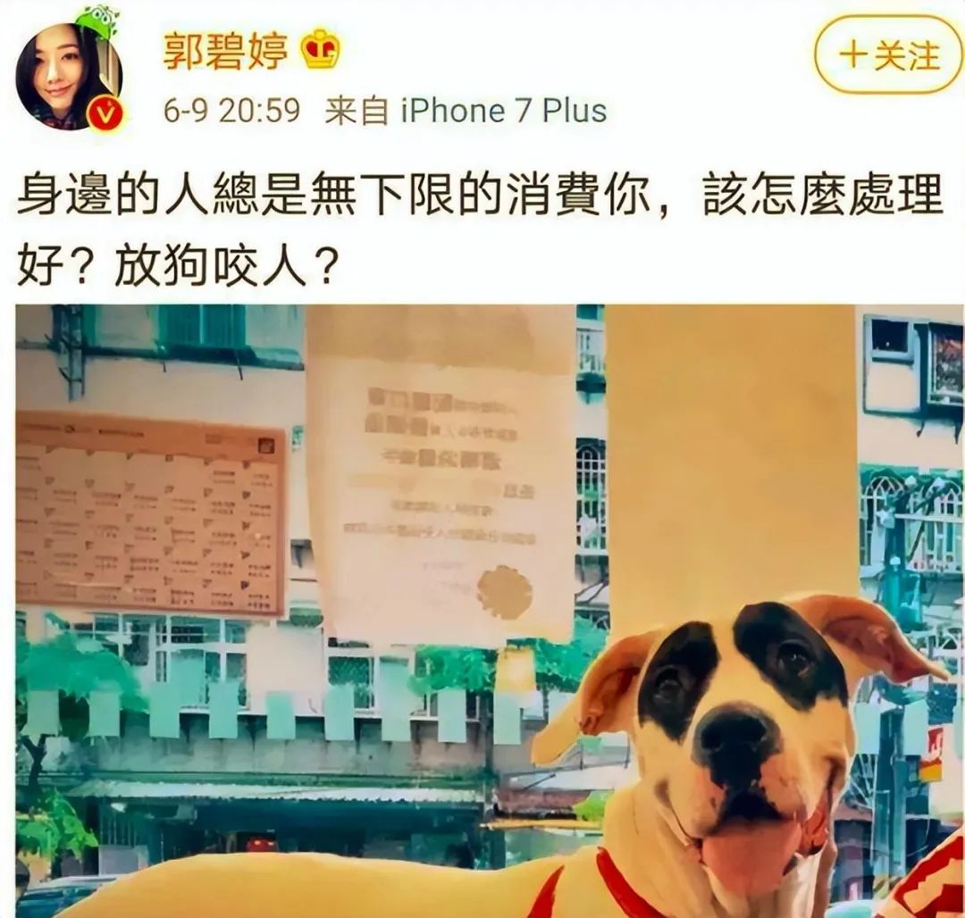 向佐|这福气给你，要不要？