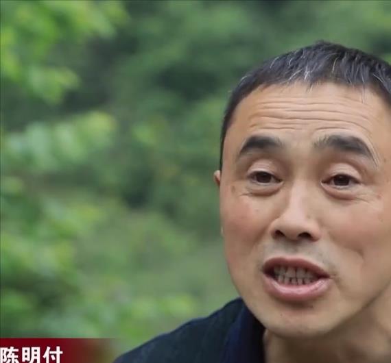 2017年,四川山民采药捡到两只小黑熊,没想到竟然结下一段奇缘