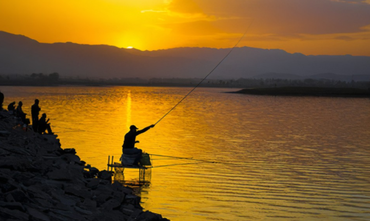 |夏季夜钓，该如何守钓大鱼？