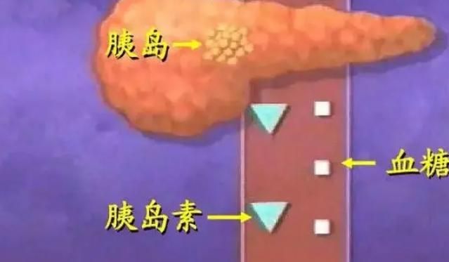 面条|多吃面条对“胰岛”不好吗?医生:若想降低血糖,少吃这4种食物