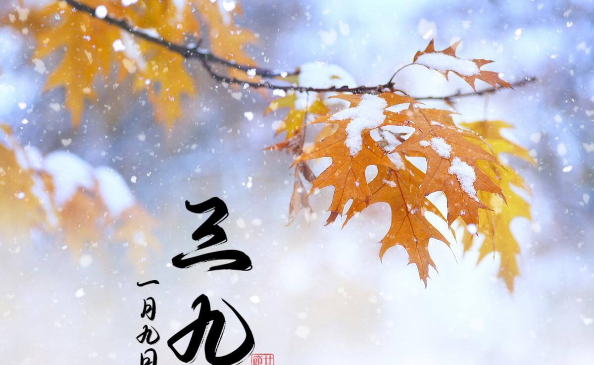 三九补一冬，来年无病痛，明日冬三九，记得多吃3白3红，御寒过冬