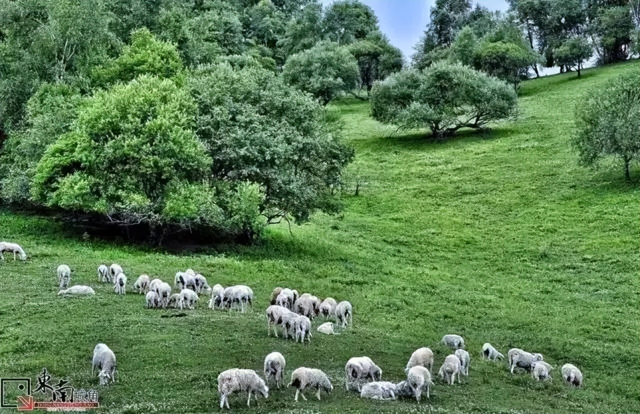 青岛市|养老必看！中国这10座慢城，不仅宜居，还美得惊人！