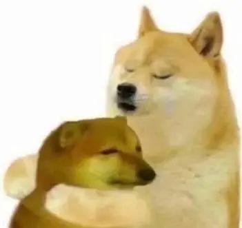 收集帖:居家办公的人都喜欢用什么表情包?