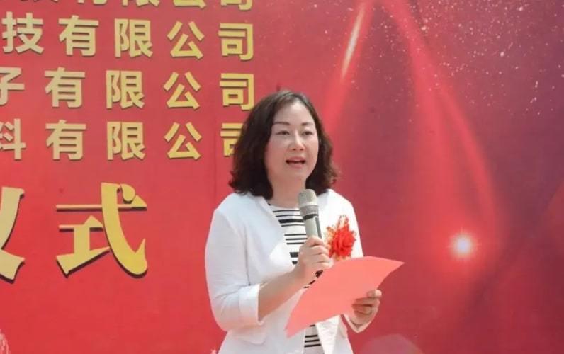 河南南阳新晋“女首富”王馨,16岁辍学打工,如今身价122亿
