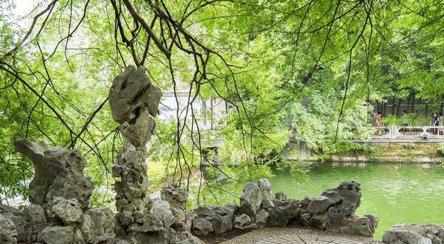 临澧|南昌老牌“相亲公园”百花洲,简历很详细,现场老年人比年轻人多