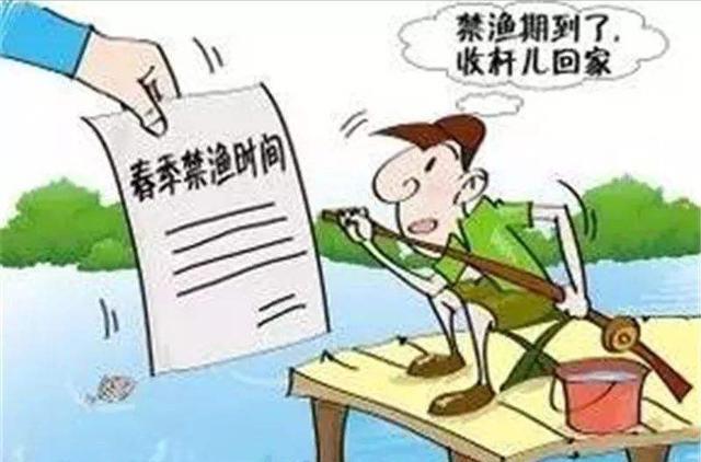 长江|江苏仨男子晚上在长江钓鱼，被黑科技锁定！政府为此投入700万元