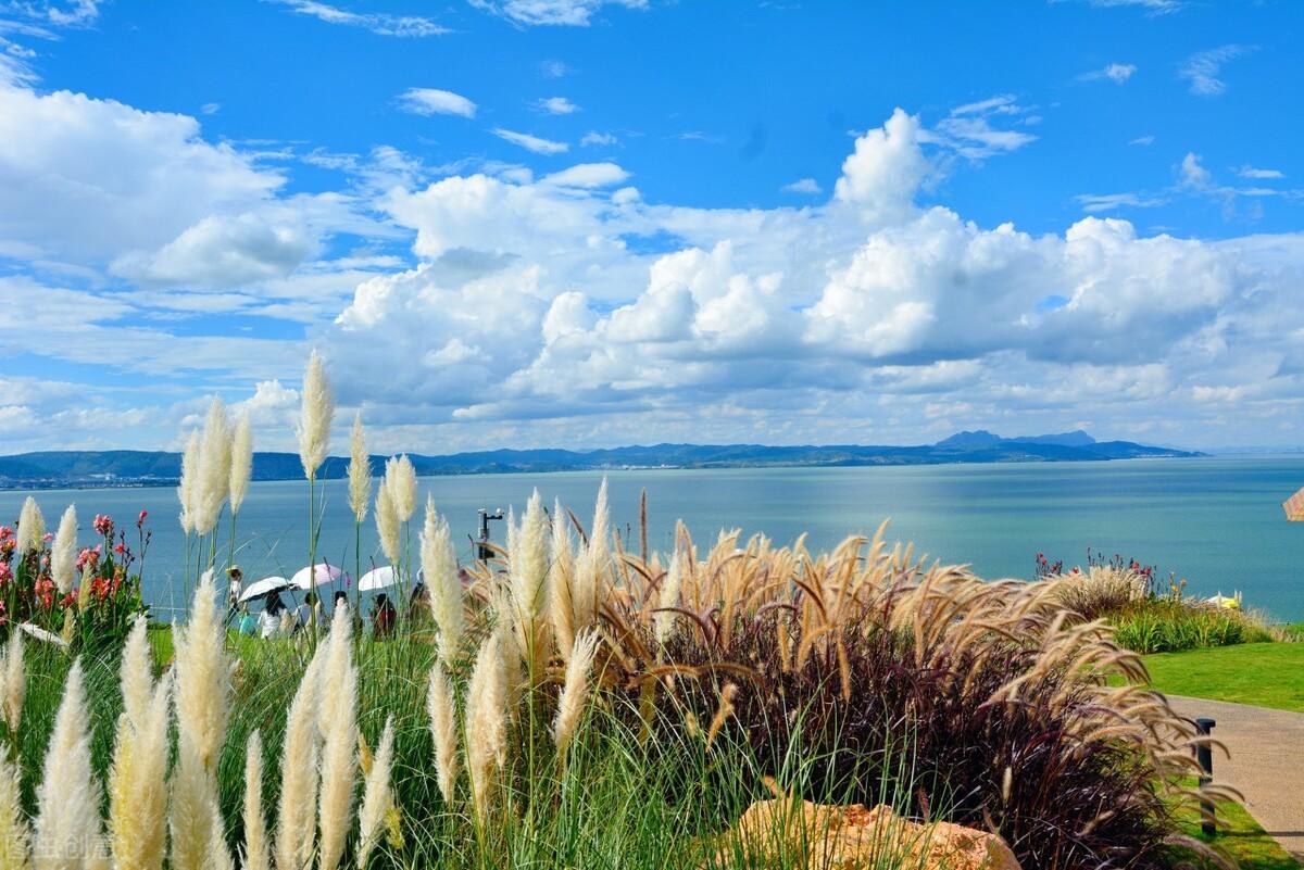滕州|郭进拴|雨中游滇池