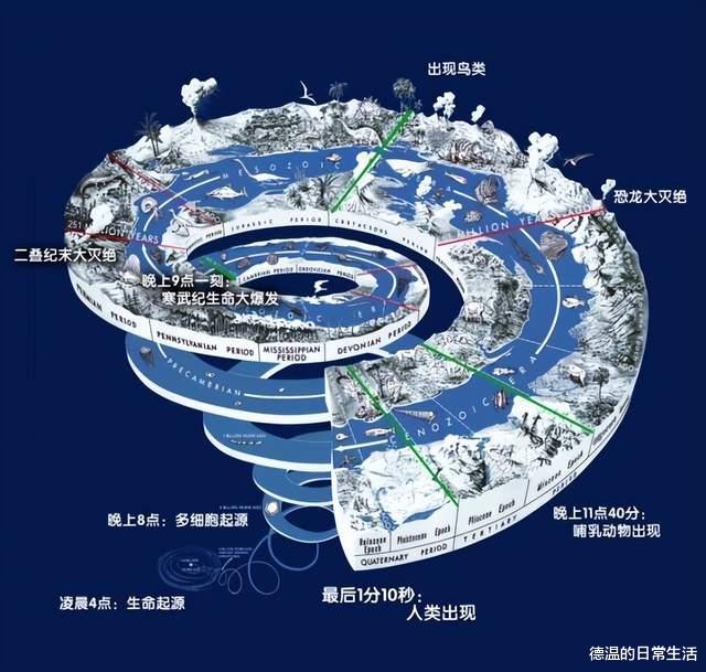 气候危机已影响90%海洋物种？种种迹象表明第六次大灭绝或在发生