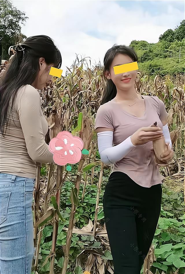 女子带2个女儿回老家,一起下地收玉米,有说有笑十分开心